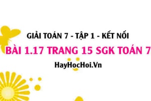 Giải bài 1.17 trang 15 Toán 7 Tập 1 SGK Kết nối tri thức